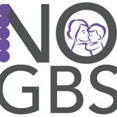 Logo NOGBS-kleur - kopie.jpeg